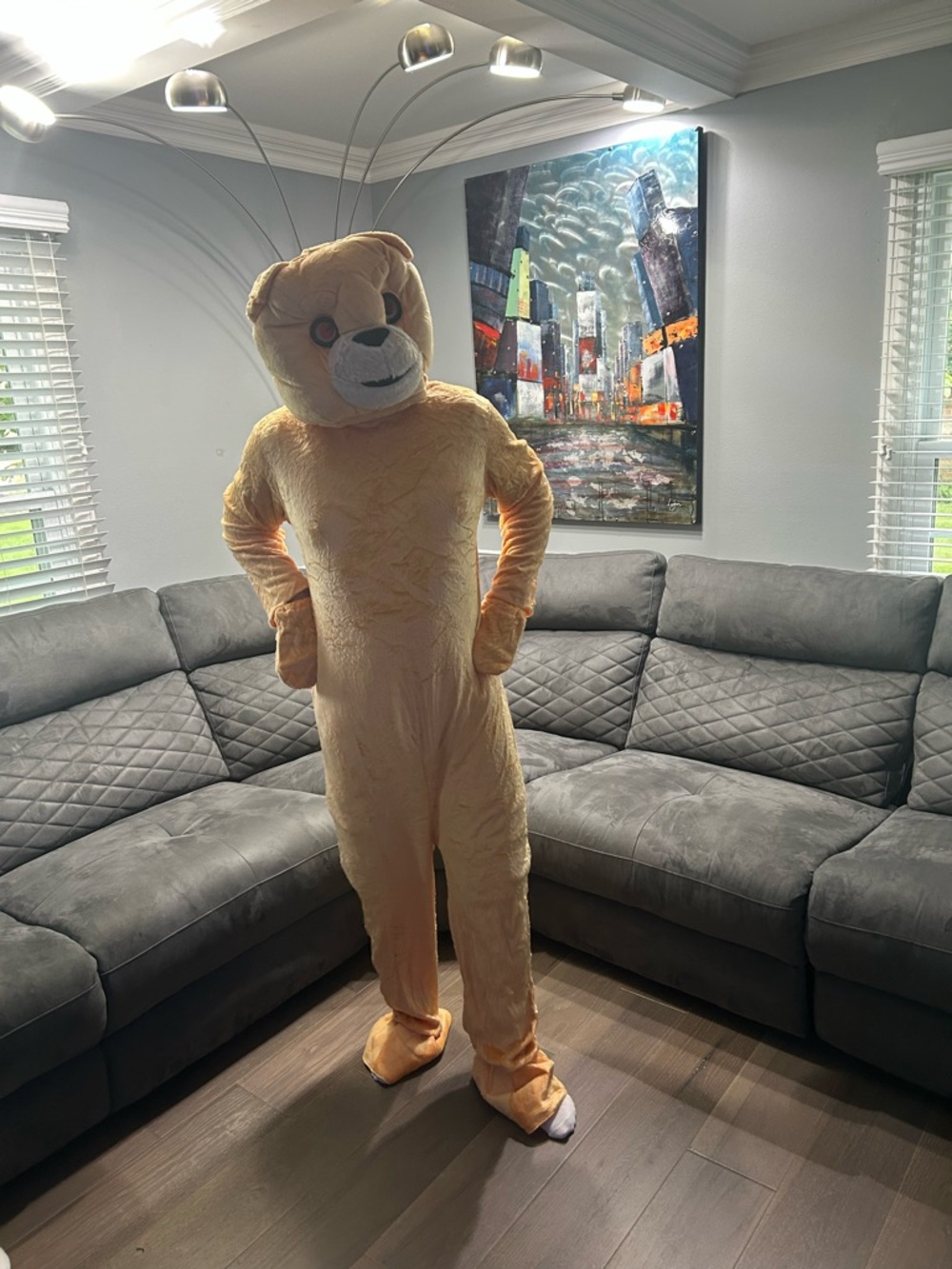 Unbranded Direct from manufacturer Bear Fuzzy mascot costume. NWT os
